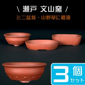 盆栽鉢 柴勝外縁下紐木瓜式鉢 常滑 泥鉢 5号 紫泥 朱泥 小品盆栽 ミニ