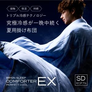 ブレインスリープ ブレインスリープピロー クール ＋パーフェクト