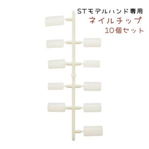 JNEC認定 STモデルハンド 3点セット ネイルチップ/ルース