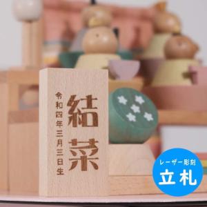 ジュエルドミノ デュシマ社 木のおもちゃ 積木 積み木 つみき ドミノ