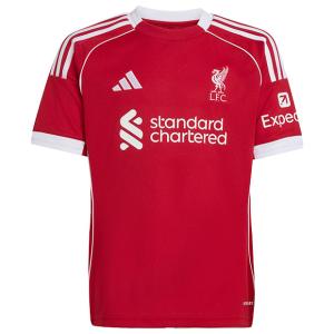 adidas（アディダス） チェルシー 08-09 アウェイ 半袖ユニフォーム