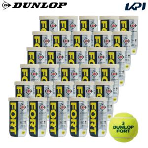 DUNLOP（ダンロップ） 『即日出荷』DUNLOP FORT フォート [2個入]1箱