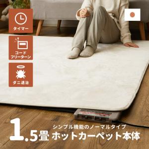 Panasonic（パナソニック） DC-15NKB1-C 電気カーペット ホット