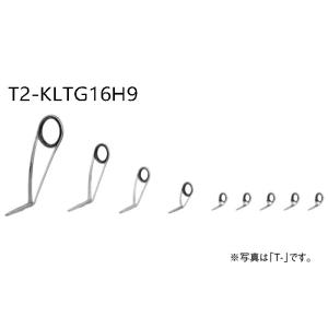 Fuji T-RVTG25FH9 フラットフィッシュセット ソルトルアー ガイド