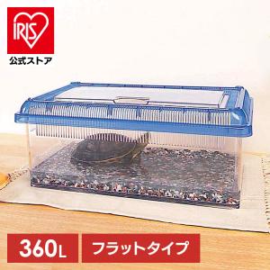 ☆待ち箱ルアー（人工のキンリョウヘン）誘引剤 ミツバチ用 日本