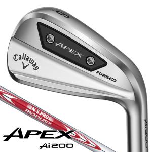 Callaway（キャロウェイ） APEX Ai200 アイアン 2024年モデル 6本
