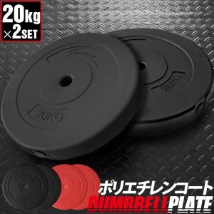 バーベル 用 プレート 10kg 2個セット ポリエチレンコート 追加
