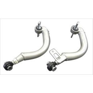 Z.S.S. 【ポイント10倍!!】Z.S.S. DG-Storm FD1 FD2 シビック リア