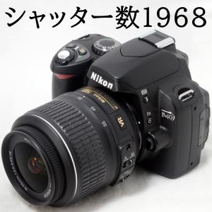 ニコンD ニコン Nikon D90 AF-S 55-300mm VR 望遠 レンズセット 手振れ