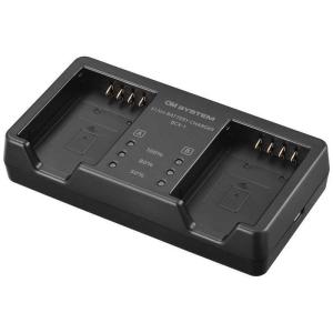 SONY（ソニー） ビデオカメラ用 リチャージャブルバッテリーパック NP