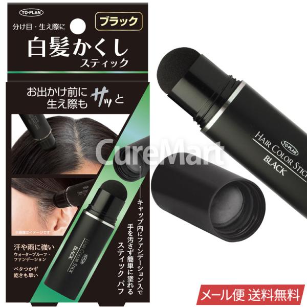 東京企画販売 白髪かくし スティック ブラック 4g ヘアカラー 毛髪着色