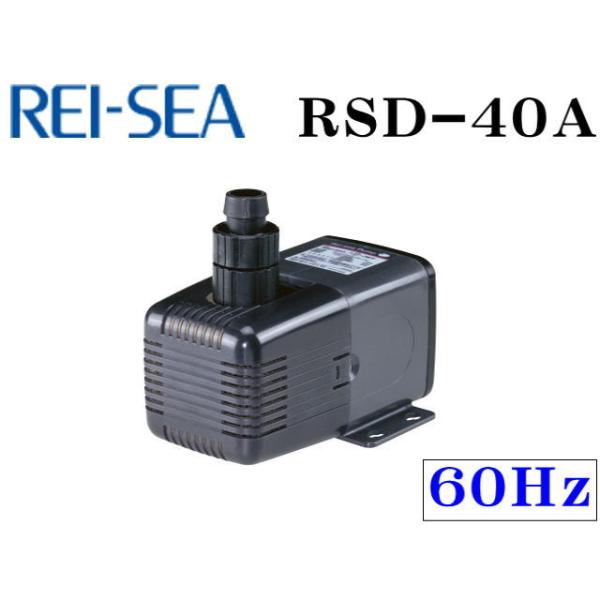 レイシー RSD-40A 60Hz 水陸両用ポンプ 流量毎分40L 送料無料 管理80