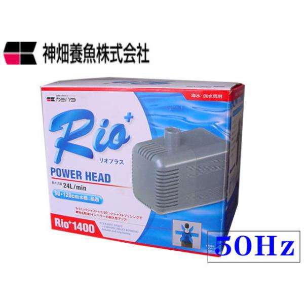 カミハタ Rio+1400 50Hz リオプラス 水中ポンプ 送料無料 管理60