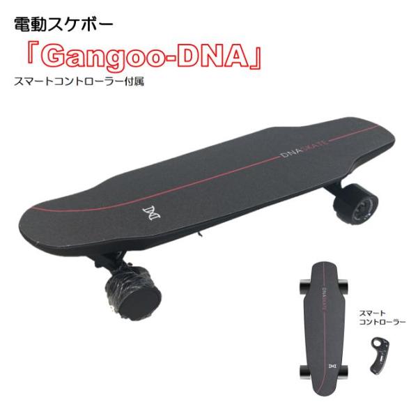gangoo_dna
