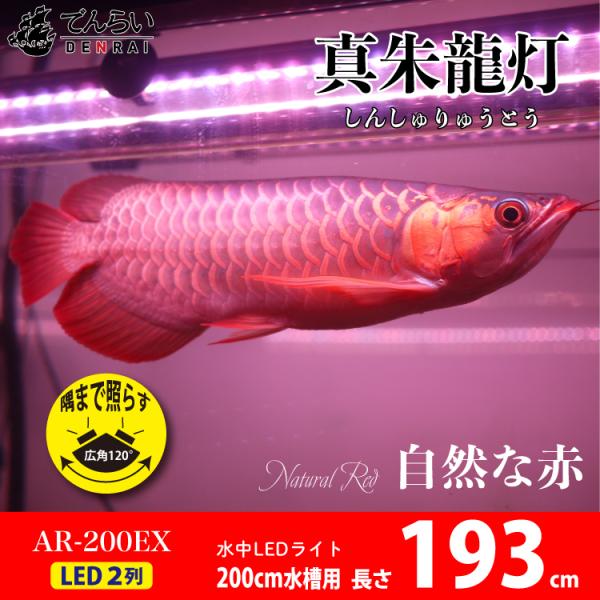 アロワナ ライト スーパーレッド 紅龍 水中 レッドアロワナ 水槽ライト