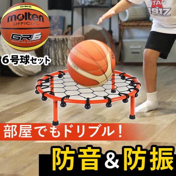 LEADING EDGE（リーディングエッジ） ドリブルネット LES-DBN