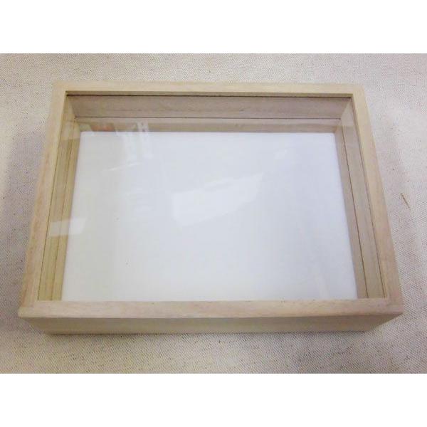 本格標本箱 （桐製） 中 : モンスターYahoo!店 - 通販 - Yahoo