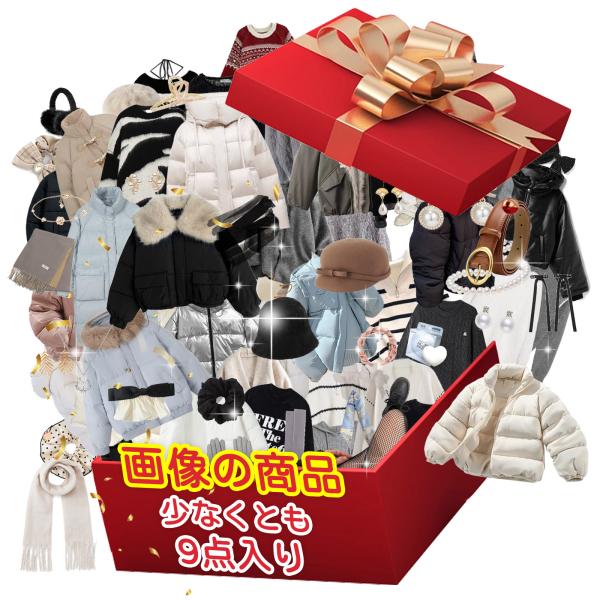レディース 福袋 2026 9点 超豪華グッズ 女性 ダウンジャケット1点