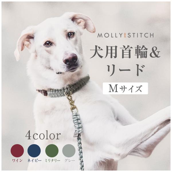 犬用首輪+リード Mサイズ 柴犬 ビーグル MOLLY&STITCH TOUCH OF