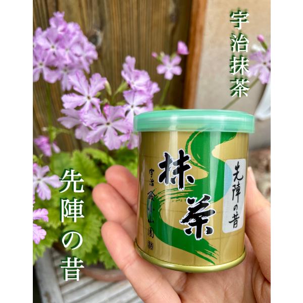 宇治抹茶 先陣の昔【山政小山園】30g（濃茶用） : 明芳園茶舗 - 通販