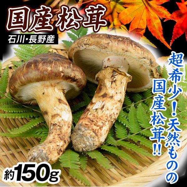 松茸 約150g 国産まつたけ 石川・長野産 ご家庭用 送料無料 食品 : 食