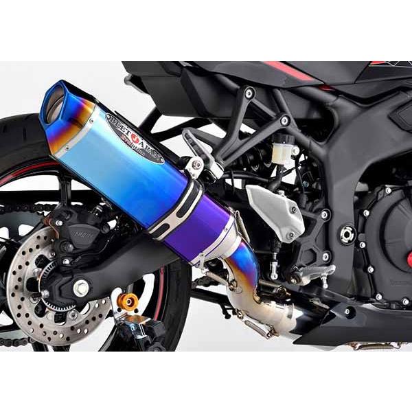 3月3日出荷】BEET ZX-25R(8BK-ZX250H)23〜 NASSERT Evolution Type2