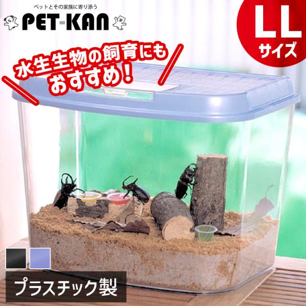 IRIS OHYAMA（アイリスオーヤマ） 虫かご 昆虫 飼育ケース LLサイズ