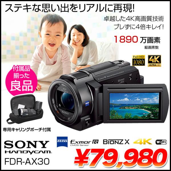 whatfun_handycam-fdr-ax30