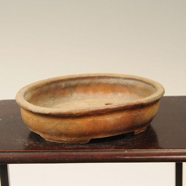 盆栽小鉢：茂山（楕円鉢 13.2cm）*資材 : 遊恵盆栽 Yahoo!店 - 通販