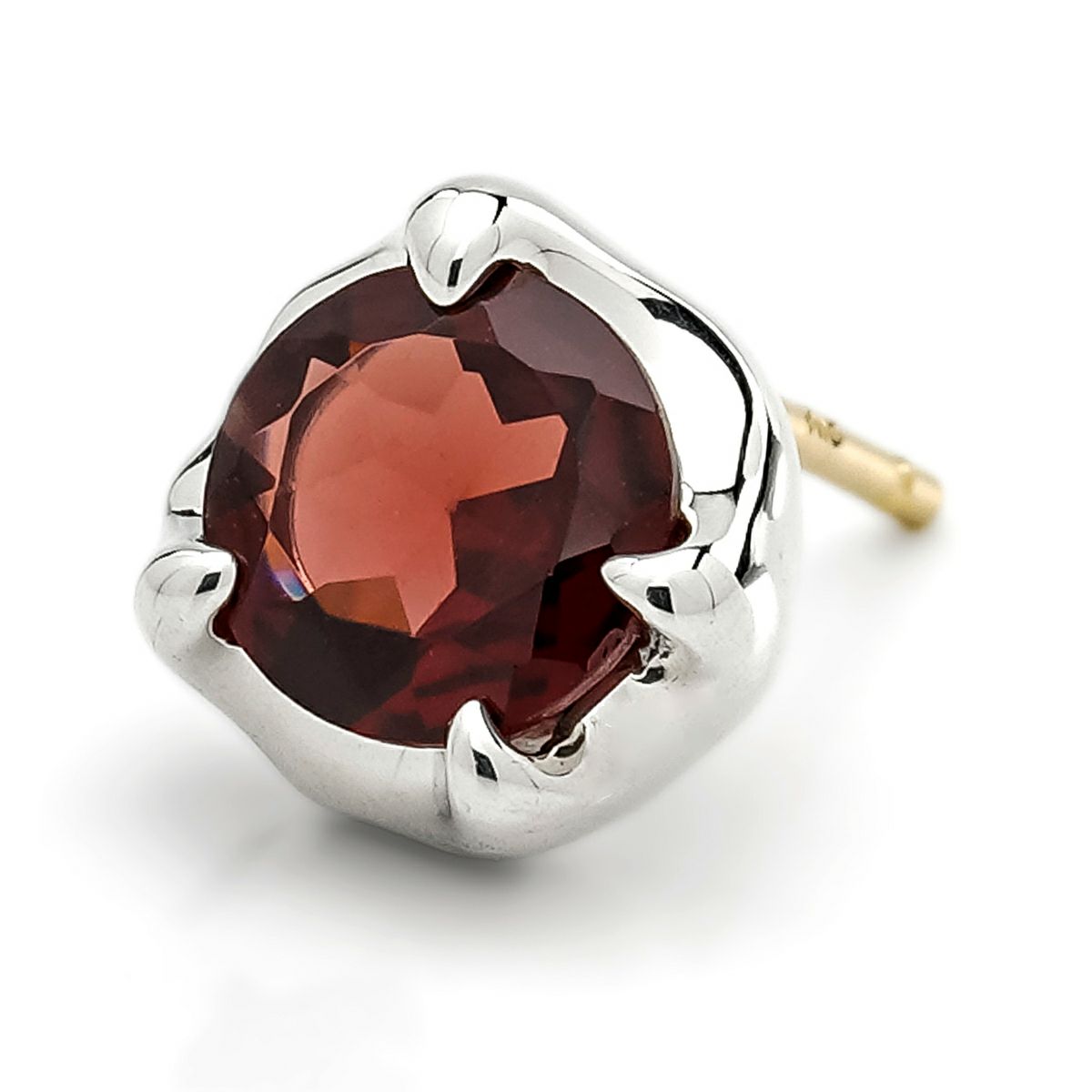 000000000293-01-l.jpg?t=