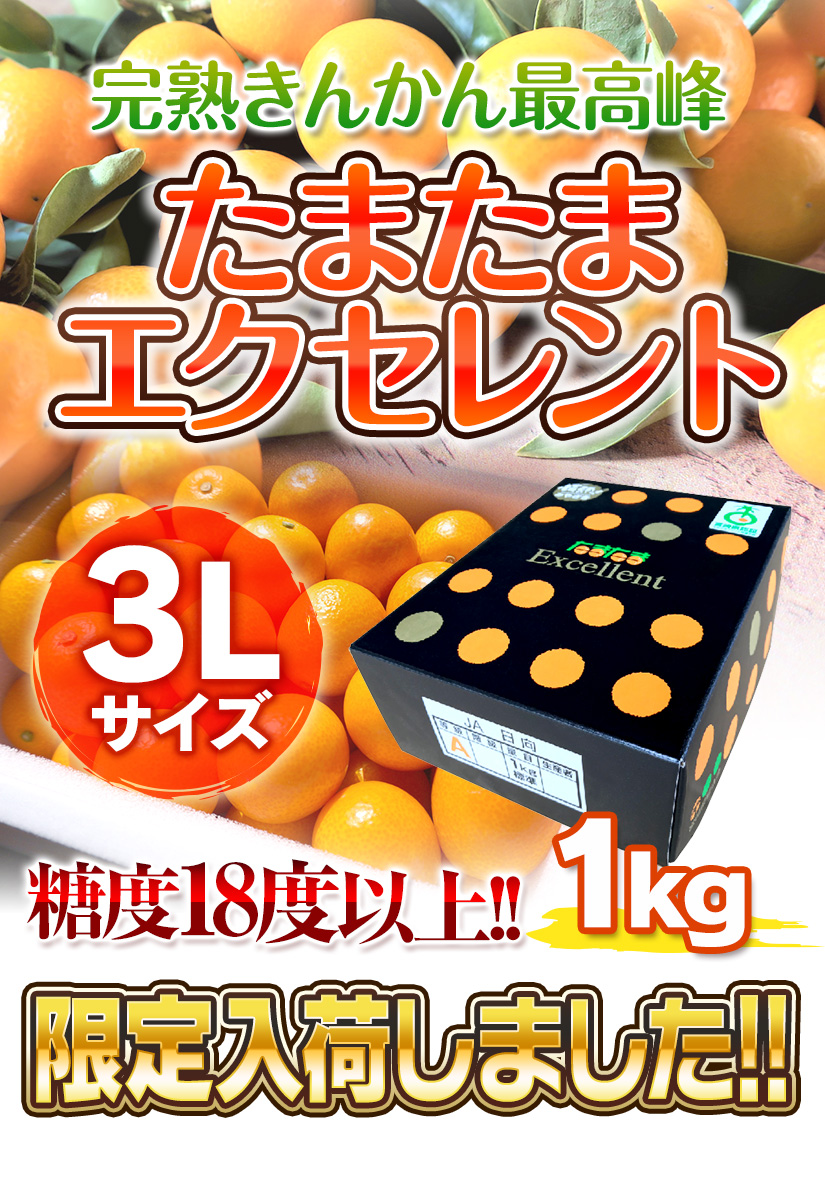 きんかんたまたまエクセレント3L｜完熟きんかんたまたま｜│JA