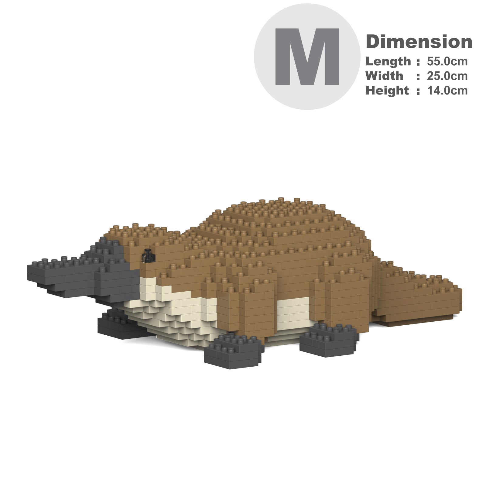 CM19ML49.jpg?v=1690356534&