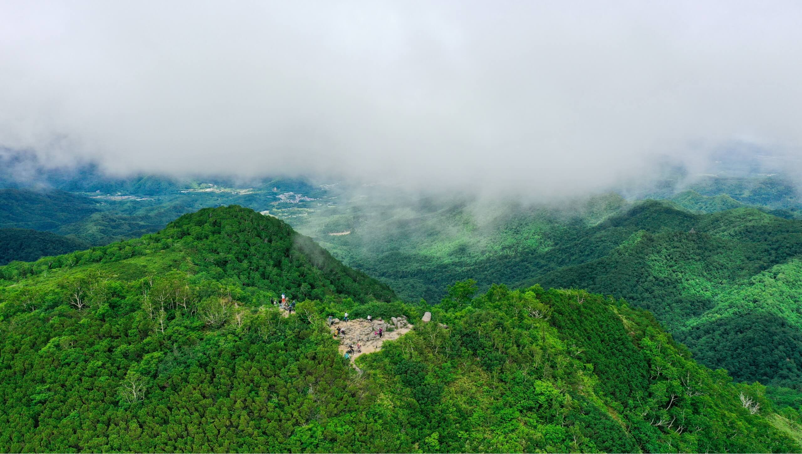 緑あふれる夏 – 定山渓観光協会公式サイト