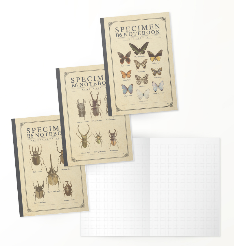 標本グッズのお知らせ | 株式会社ジェイ・エム｜JM Official Web Site