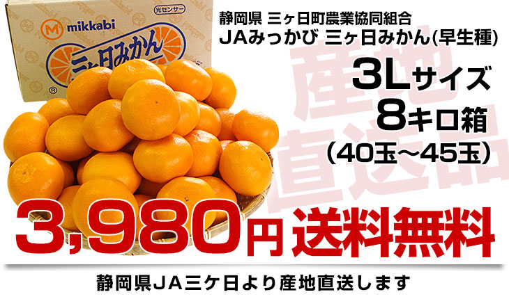 静岡県より産地直送 JAみっかび 三ケ日みかん (早生品種) 3Lサイズ 8