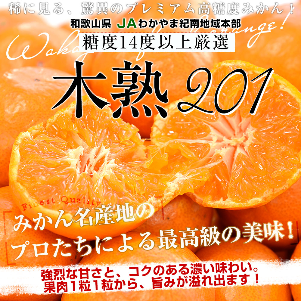 d_orange638_ph.jpg