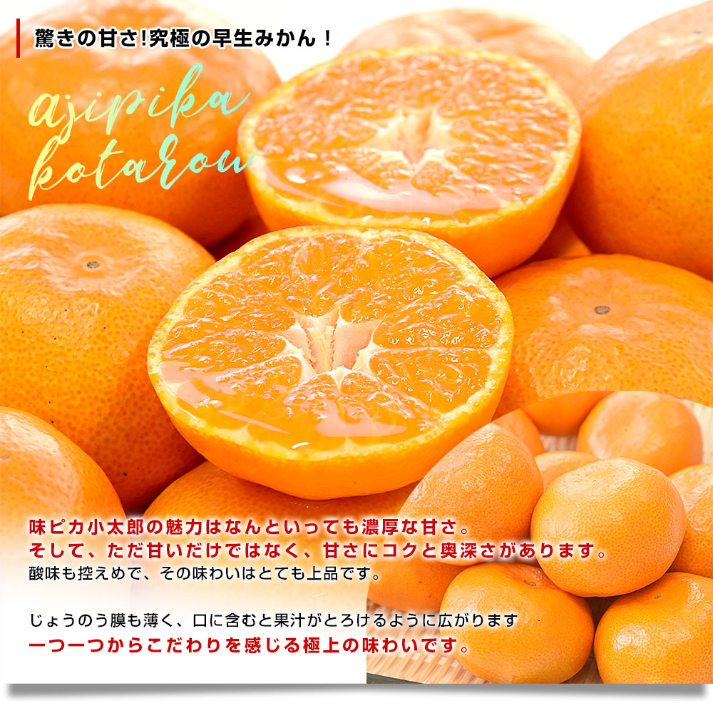 愛媛県産 JAにしうわ 川上共選 味ピカ小太郎 2.5キロ化粧箱(30個入り