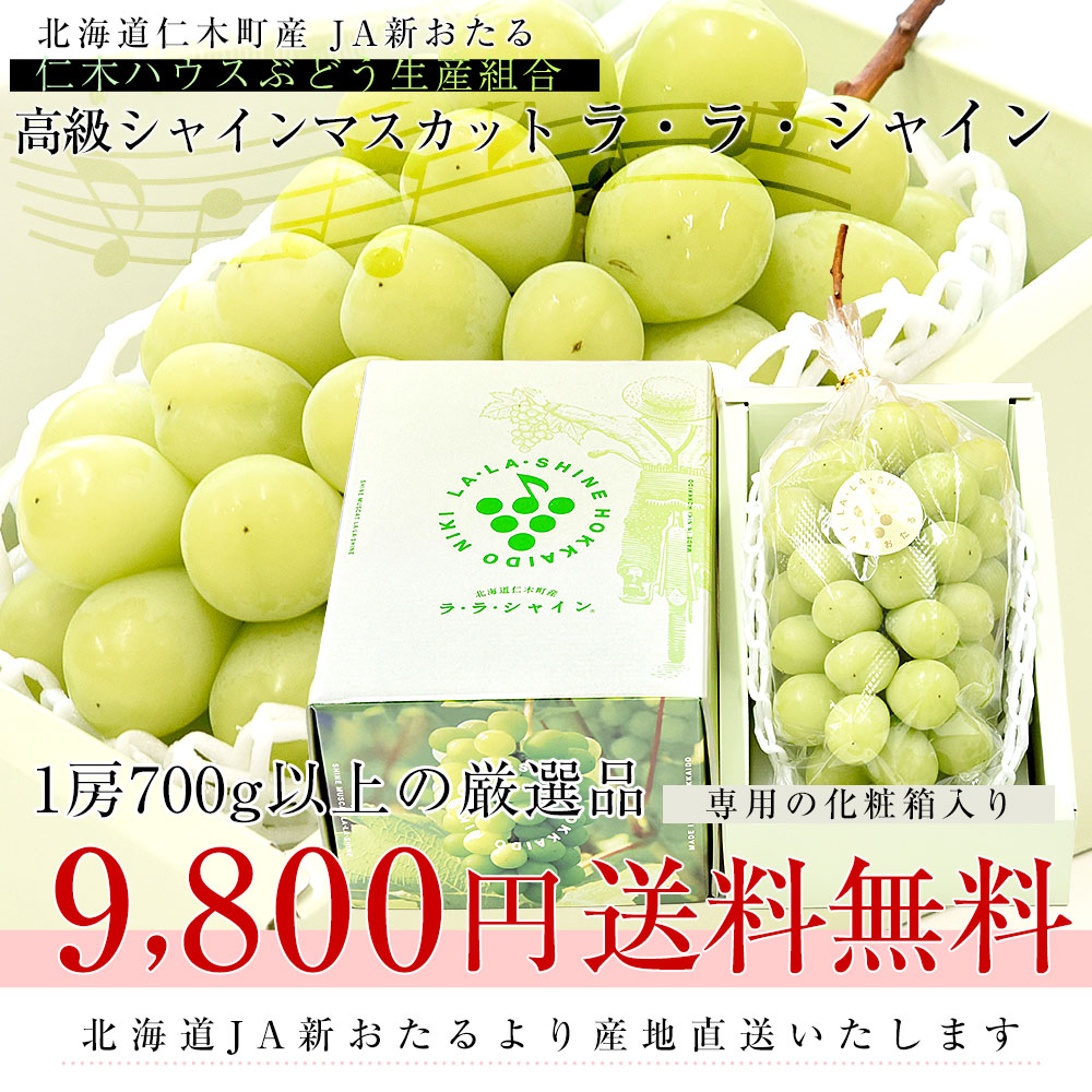 北海道から産地直送 JA新おたる 仁木ハウスぶどう生産組合 シャイン
