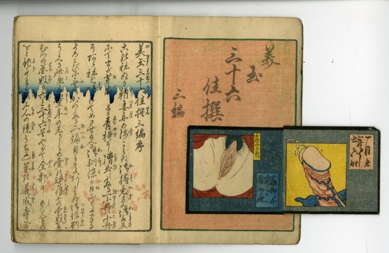 恋川笑山(こいかわしょうざん) - 美玉三十六佳撰三編 花の巻 - 春画