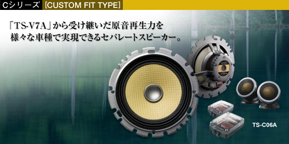カスタムフィットスピーカー - TS-C06A
