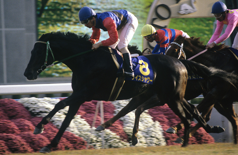 ライスシャワー｜名馬メモリアル｜競馬情報ならJRA-VAN