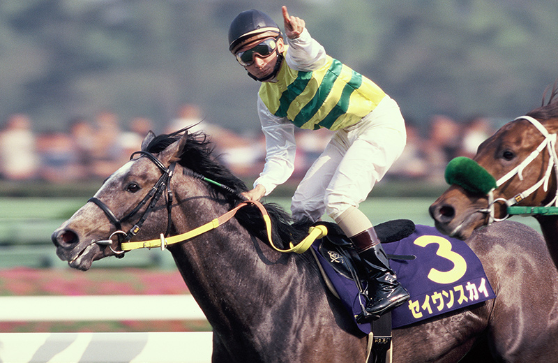 セイウンスカイ｜名馬メモリアル｜競馬情報ならJRA-VAN