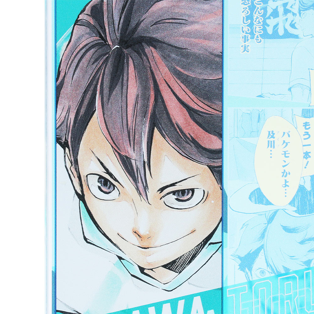 ハイキュー Bull Pulu ブルプル 及川徹 アクキー アクブロ 特典