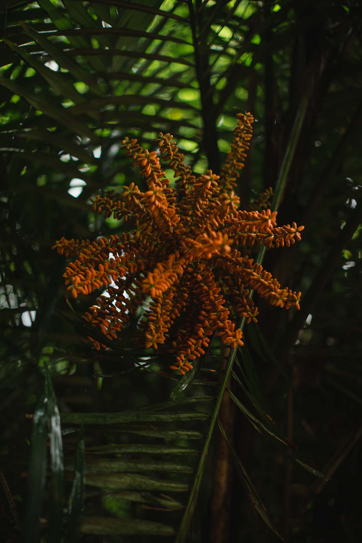 Collection | ヨーガンレール [Jurgen Lehl CO.,LTD.]