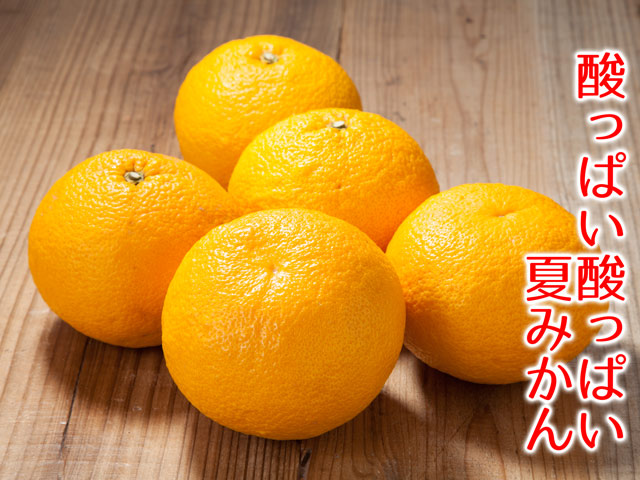 夏みかん｜夏みかん宅配｜夏みかんなら観音山フルーツガーデン