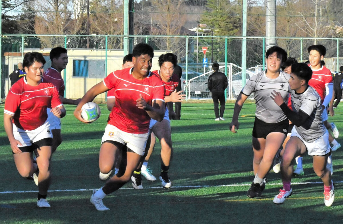 全国高校ラグビー、仙台育英「堅守速攻」が鍵 あす12月28日に北海道の