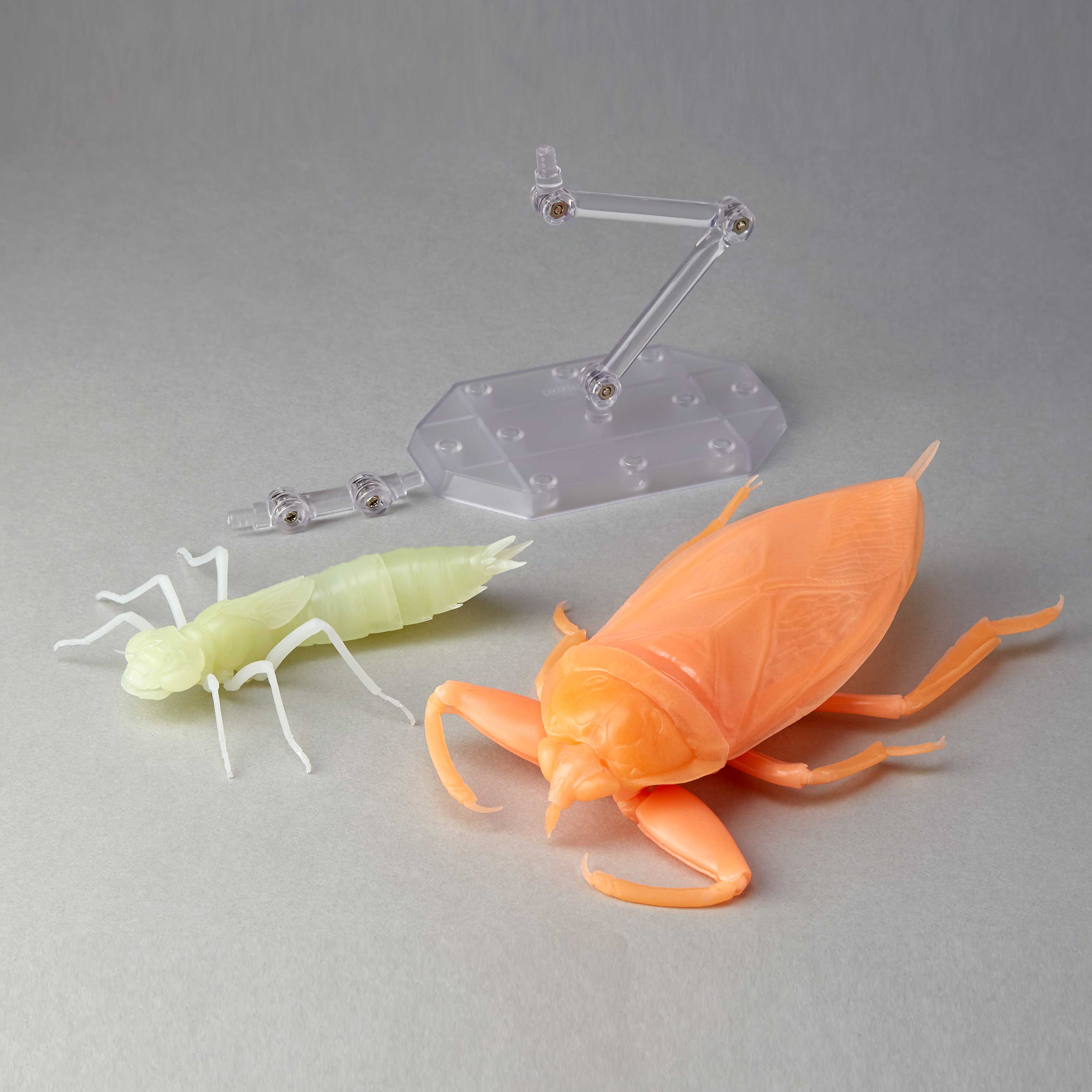 RG006 リボジオ タガメ オレンジ蓄光ver. Glow in the dark -Orange