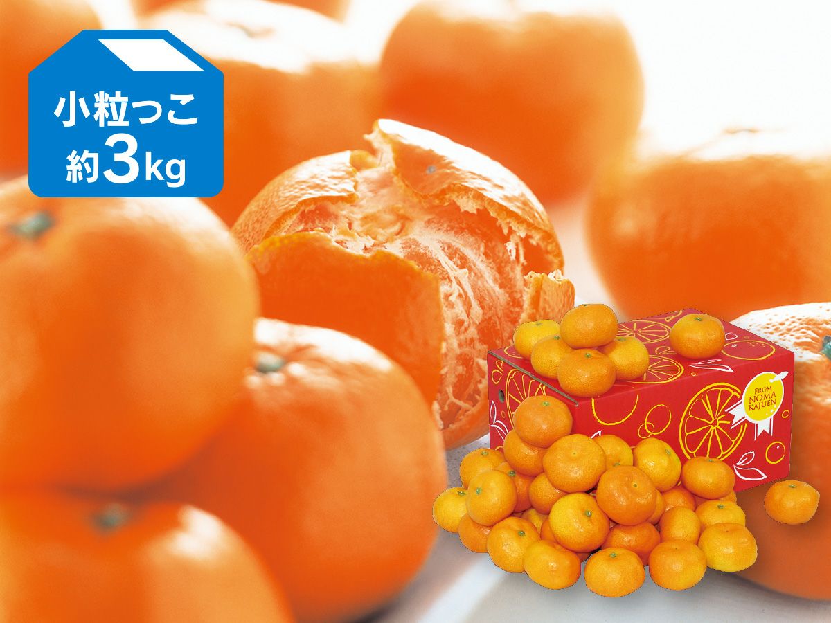 愛媛みかん3kg-小粒っ子 | のま果樹園