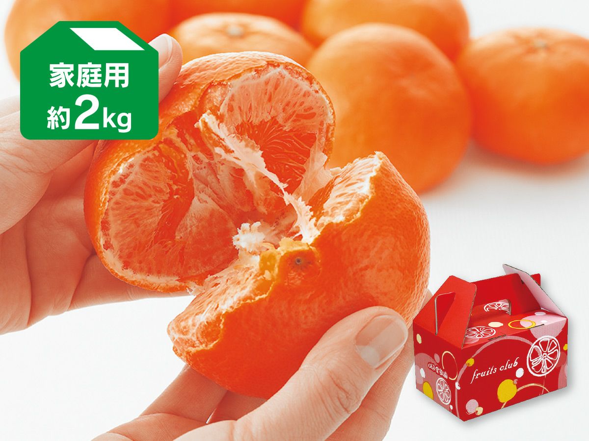 みかん専門店・愛媛みかんの「のま果樹園」