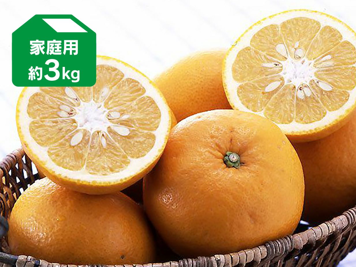 八朔(はっさく)約3kg-家庭用 | のま果樹園